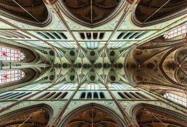 Looking Up (Gerard Jonkman) - Muzeo.com