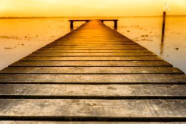 Lost (Michael) - Muzeo.com