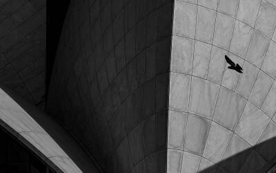 Lotus temple (Shobhit Chawla) - Muzeo.com