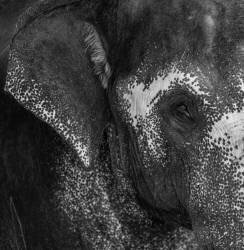 Love (Roni Kiperman) - Muzeo.com