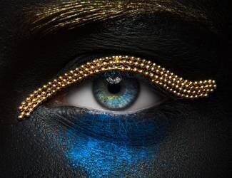 Macro beauty (Alex Malikov) - Muzeo.com