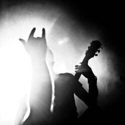 Mandragora (Veronika Klimonova) - Muzeo.com