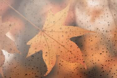 Melancholy (Lenka) - Muzeo.com