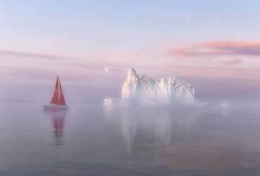 Midnight Sun (Yang Jiao) - Muzeo.com