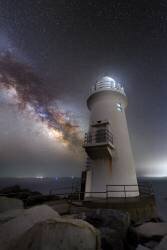 Milestone (Harlock) - Muzeo.com