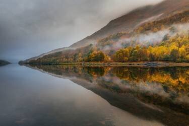 Misty Loch (Adrian Popan) - Muzeo.com