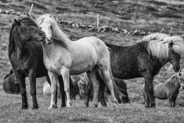 Moment (Bragi Ingibergsson) - Muzeo.com