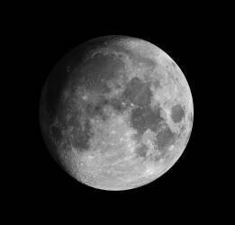 Moon (David Dayag) - Muzeo.com