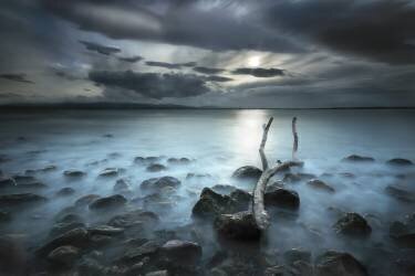 Moonland (Martin Marcisovsky) - Muzeo.com