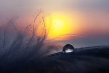 Morning (Peep Loorits) - Muzeo.com