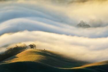 Morning fog (Weilian) - Muzeo.com