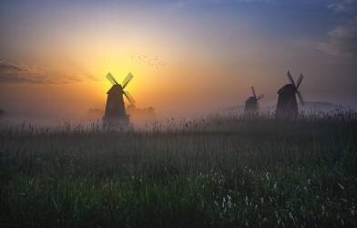 Morning glow (Tiger Seo) - Muzeo.com