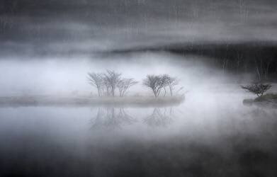 Mysterious pond (Teruo Araya ) - Muzeo.com