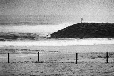 No Shelter (Paulo Abrantes ) - Muzeo.com