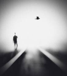 Nocturne (Hengki Lee) - Muzeo.com