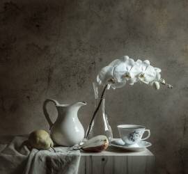 Old wall (Margareth Perfoncio) - Muzeo.com