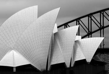 Opera house Sydney (Alida van Zaane) - Muzeo.com