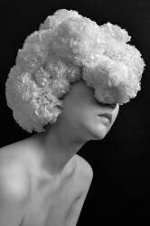 Paperflowers (Kuchiko Nogi) - Muzeo.com