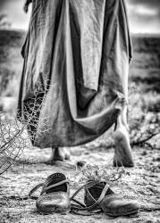 Passenger (Afshin Saeidinia) - Muzeo.com