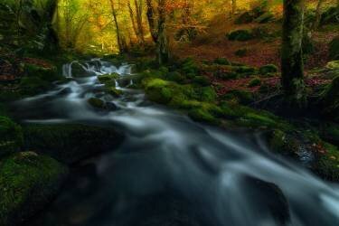 Past seasons (Carlos Gonzalez) - Muzeo.com