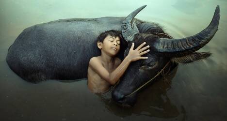 Peaceful (Fahmi Bhs ) - Muzeo.com