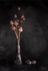 Peaceful Minds (Çiçek Kıral) - Muzeo.com