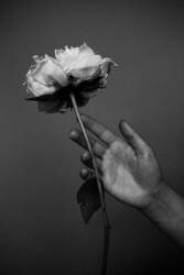 Peony (Antonida Frolova) - Muzeo.com