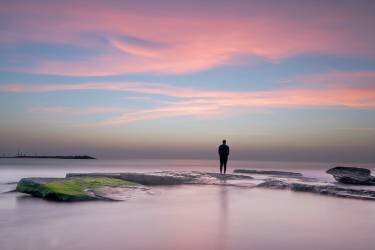 Pink dreams (Ron Segal) - Muzeo.com