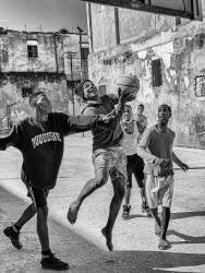 Playing Basketball (Andy Dauer) - Muzeo.com