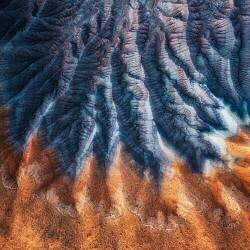 Pleated Skirt (Mei Xu) - Muzeo.com