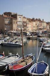 PNS-1022297 (Tibor Bognar) - Muzeo.com