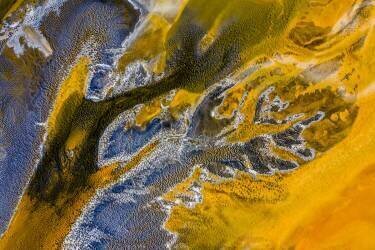 Poisoned flowers (Ovi D. Pop) - Muzeo.com