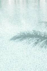 Pool 6 (1x Studio III) - Muzeo.com