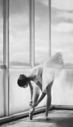 Preparation (Sebastian Kisworo) - Muzeo.com