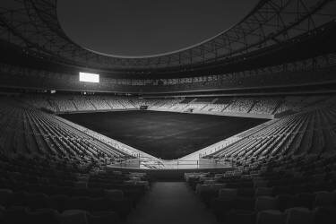 Prologue (Alvin Wang) - Muzeo.com