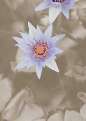 Purple Flower (1x Studio III) - Muzeo.com