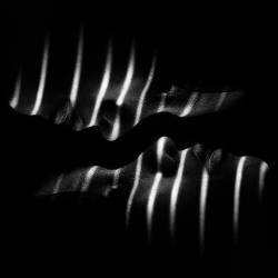 Puteri (Teguh Yudhi Winarno) - Muzeo.com