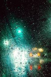 Rainyday (Takashi Hasegawa) - Muzeo.com