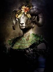 Ram Dame (Enza Paoli) - Muzeo.com