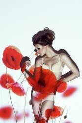 Red (Marinastudio) - Muzeo.com