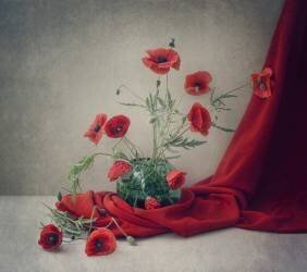 Red (Dimitar Lazarov) - Muzeo.com