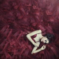 Red blossom (Hardibudi) - Muzeo.com