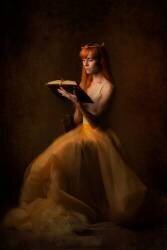 Red book (Amnon Eichelberg) - Muzeo.com