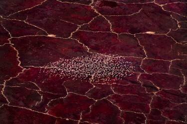 Red Planet (John Fan) - Muzeo.com