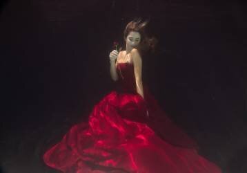 Red Queen (Gabriela Slegrova) - Muzeo.com