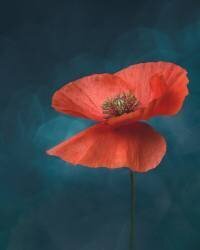 Reverence (Yves Gauvreau) - Muzeo.com