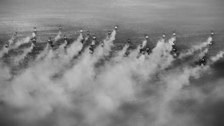 Running (Phillip Chang) - Muzeo.com