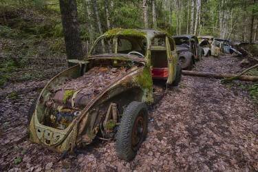 Rusty Beetle (Knut Saglien) - Muzeo.com