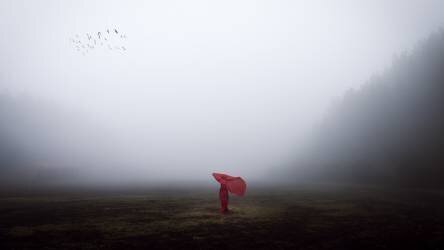 Scarecrow (Dominic Dahncke) - Muzeo.com