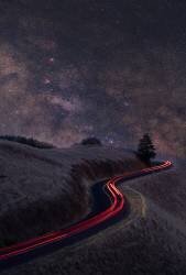 Senerity (Jinghua Li) - Muzeo.com